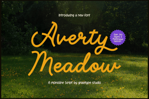 Averty Meadow: A Designer's Real-World Review