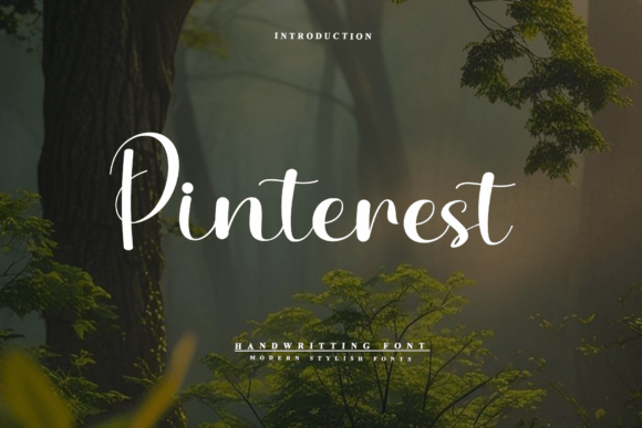 Pinterest Handwritten Font for Web Design